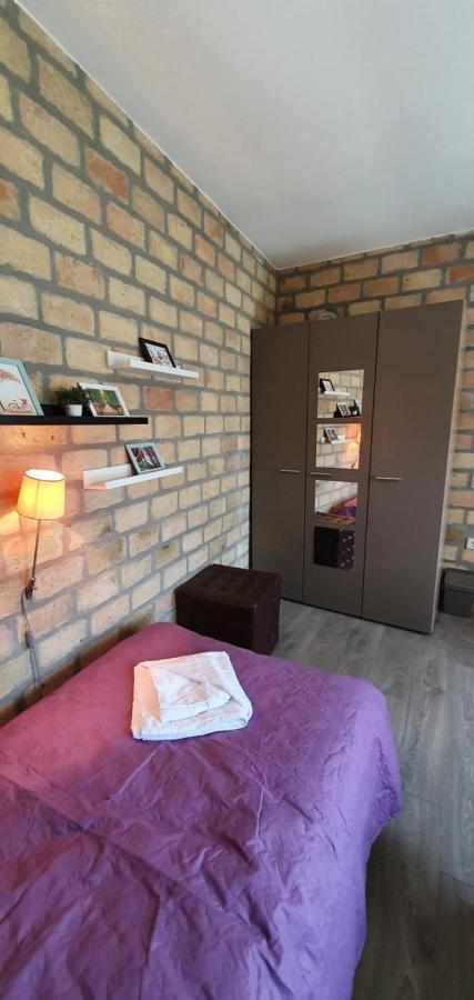 Bakina Kuca Apartment Golubac Bagian luar foto