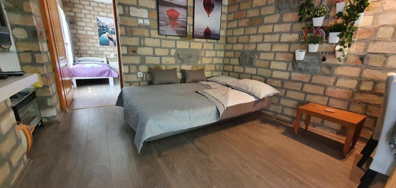 Bakina Kuca Apartment Golubac Bagian luar foto